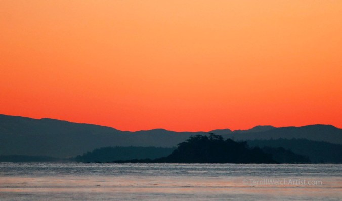 Blood orange start to 2016  by Terrill Welch 2016-01-01 IMG_7158