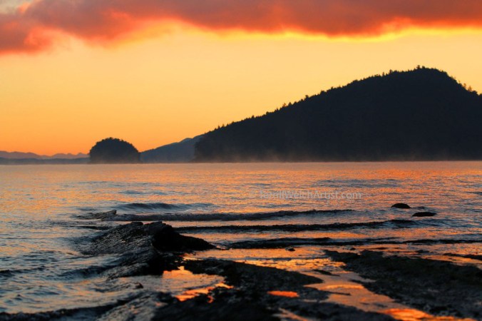 Breaking Shore New Year's Day 2016 by Terrill Welch 2016-01-01 IMG_7191