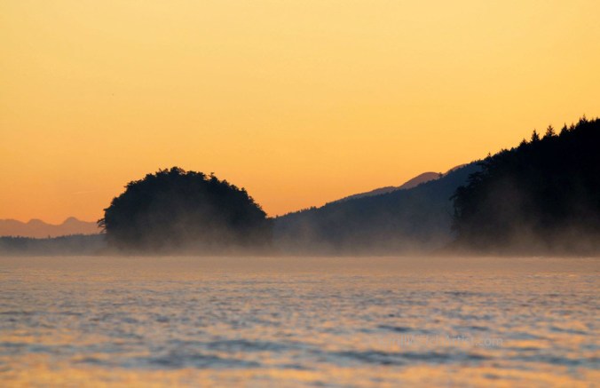 Dawn on New Year's Day 2016 by Terrill Welch 2016-01-01  IMG_7255