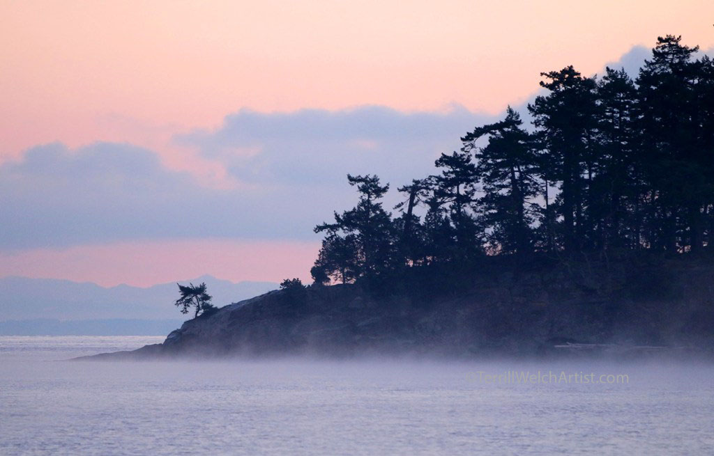 Mist off the sea New Year's Day morning by Terrill Welch 2016-01-01  IMG_7166