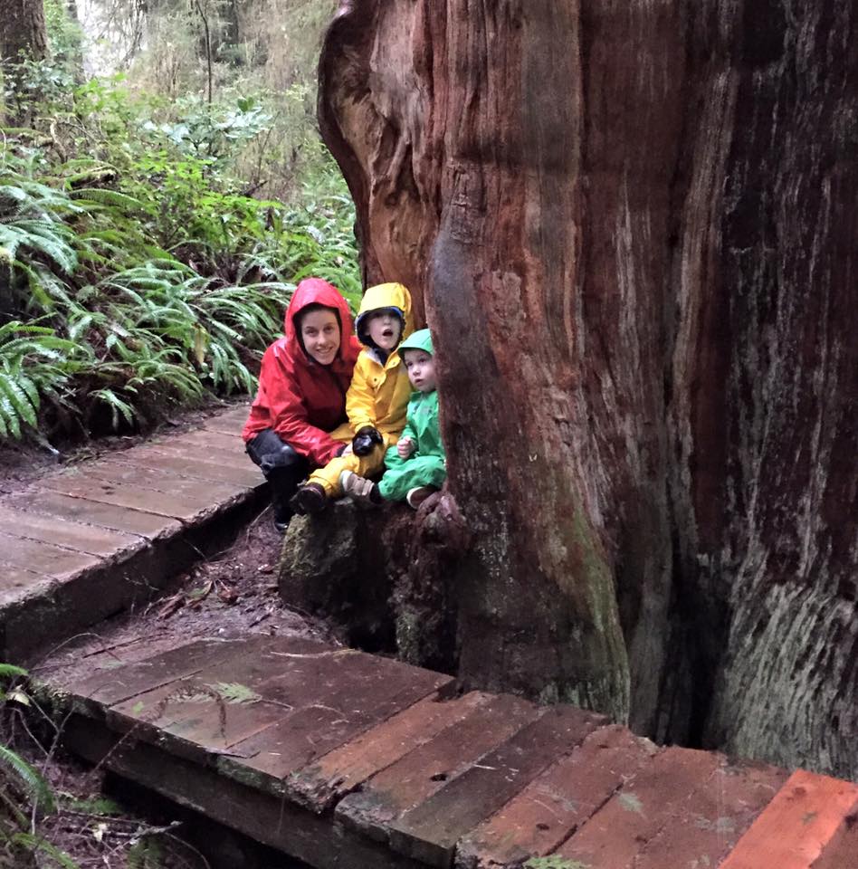 Rainy day forest walk with Josie and O boys iPhone capture by Terrill Welch