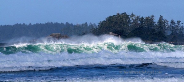 Sun and Sea dance Frank Island Tofino British Columbia by Terrill Welch IMG_1751