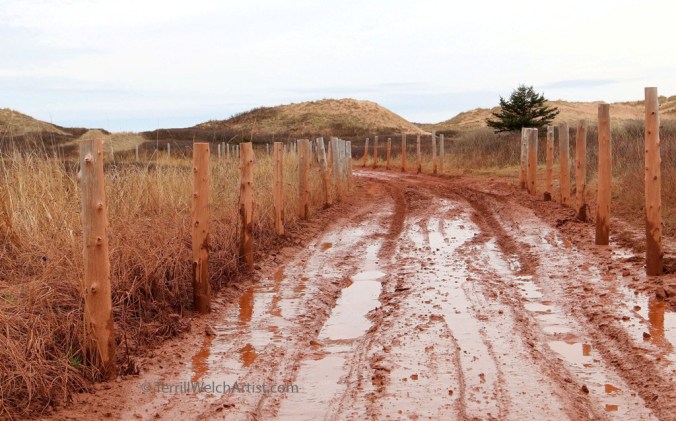PEI red mud by Terrill Welch May 8 2016 IMG_3373