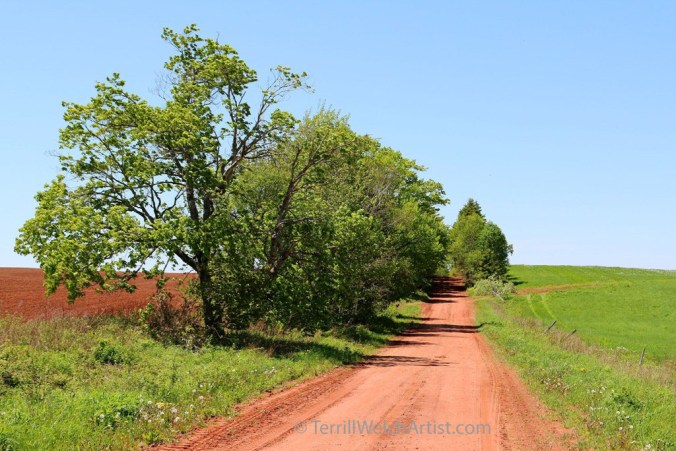 Farrar Rd PEI by Terrill Welch IMG_5397