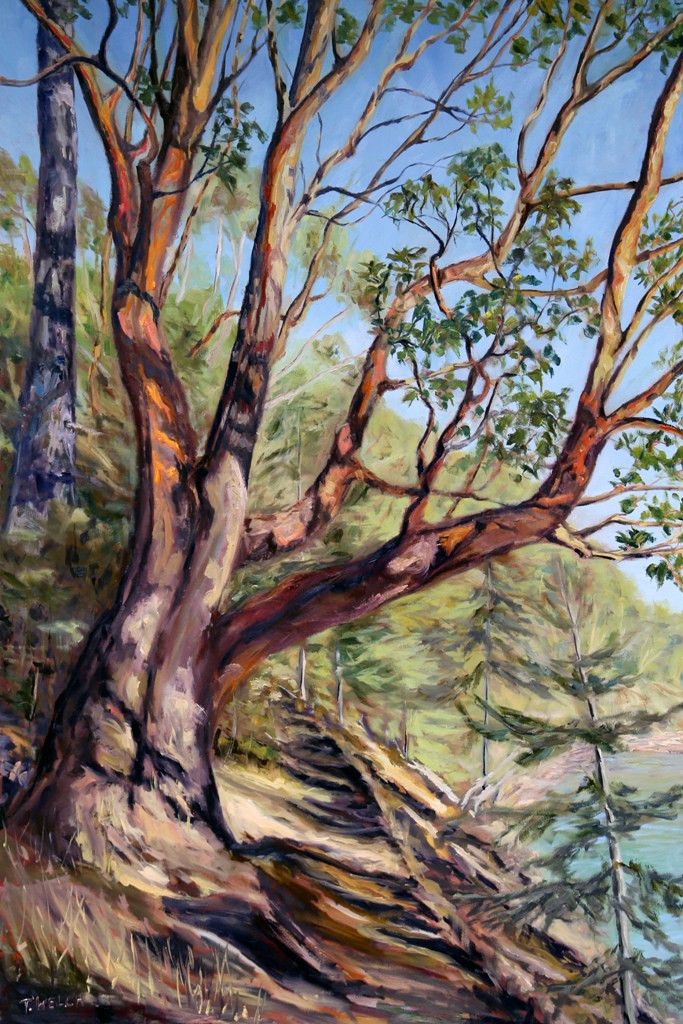 resting-storytelling-arbutus-tree-bennett-bay-mayne-island-bc-60-x-40-inch-oil-on-canvas-by-terrill-welch-img_9532