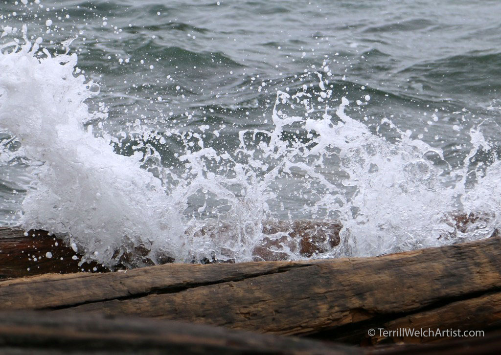 high-winter-tide-by-terrill-welch-img_9678