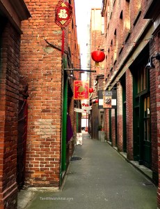 Fan-Tan-Alley-Victoria-BC-by-Terrill-Welch