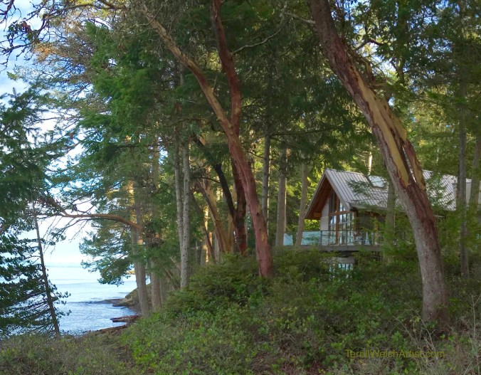 House In the trees beside the sea by Terrill Welch 